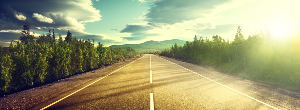 Sobre mim, experiência profissional, evolução da carreira