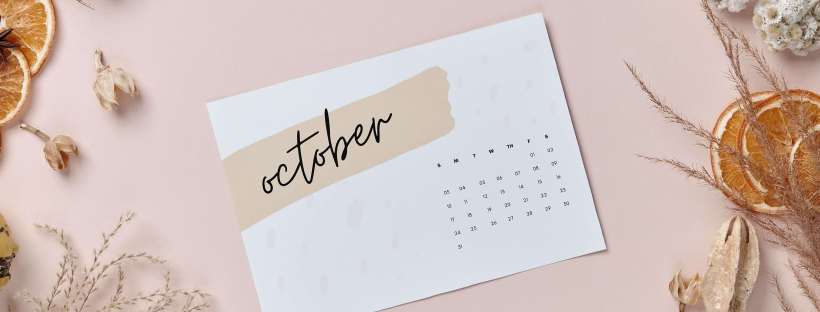 campanha online mensal nao resulta saiba porque