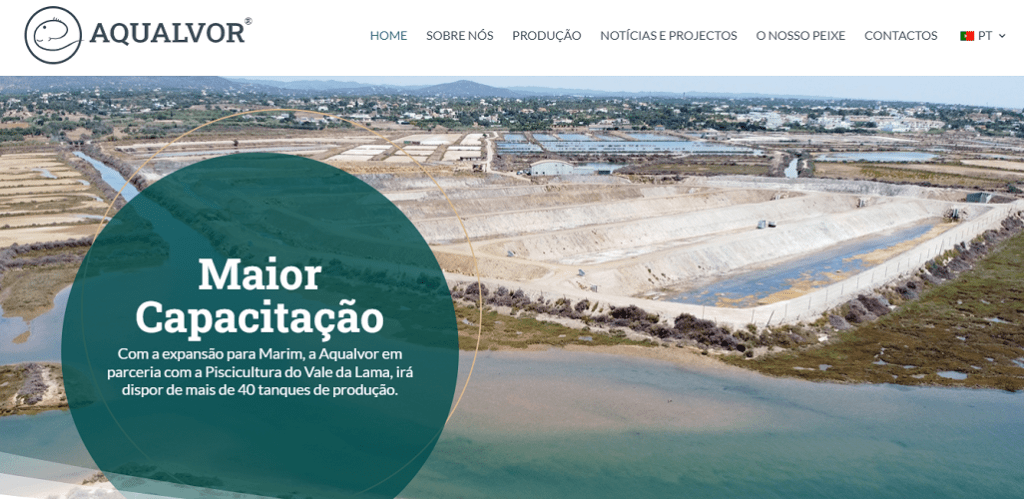 criação de conteúdos para site da aqualvor